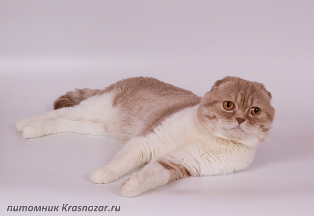 Krasnozar Volniy Veter (на пенсии)