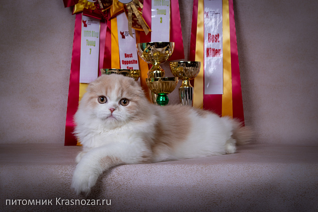 Krasnozar Hristofor Bonifat'evich (на пенсии)