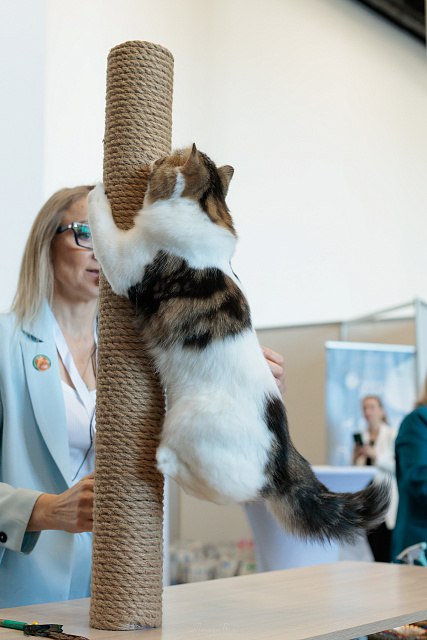 Выставка TOPCAT "ЗООМИР на Нижегородской Ярмарке": Нижний Новгород, 03-04 октября 2026