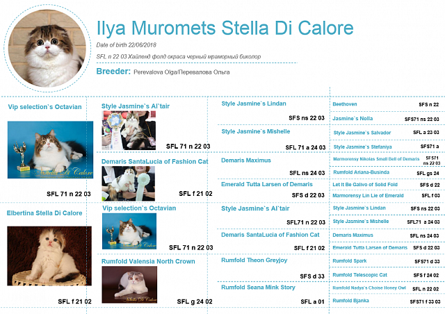 Ilya Muromets Stella Di Calore (на пенсии)