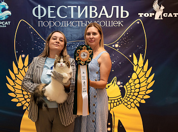 Выставка TOPCAT: Саратов 22-23 августа 2026