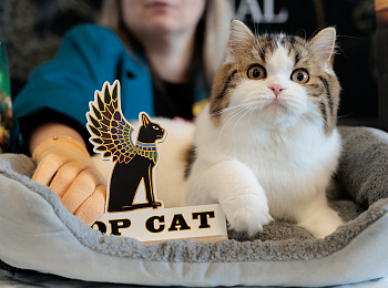 Выставка TOPCAT "ЗООМИР на Нижегородской Ярмарке": Нижний Новгород, 03-04 октября 2026