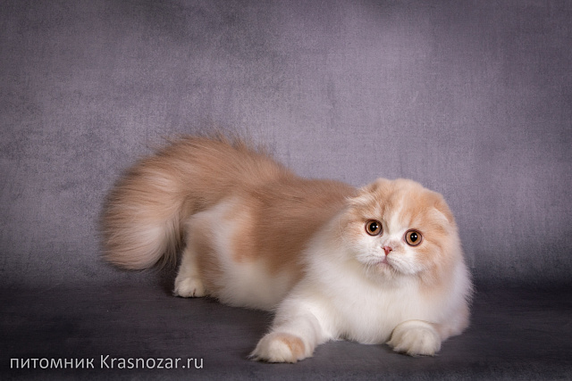 Krasnozar Hristofor Bonifat'evich (на пенсии)