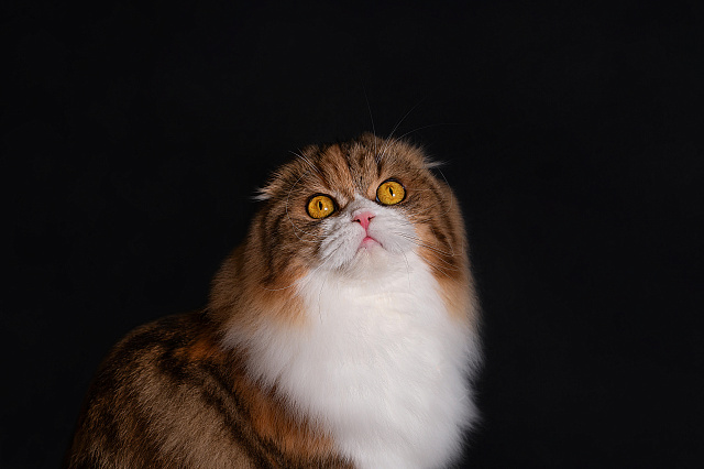 Krasnozar Ekaterina Velikaya