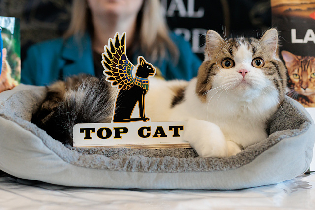 Выставка TOPCAT "ЗООМИР на Нижегородской Ярмарке": Нижний Новгород, 03-04 октября 2026