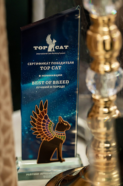 Выставка 18-19 апреля 2026 (Награждение за 2025 год)
